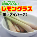 ���󥰥饹������