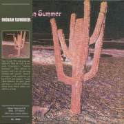 INDIAN SUMMER/Same (1971/only) (����ǥ����󡦥��ޡ�/UK)