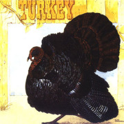 WILD TURKEY/Turkey (1973/2nd) (�磻��ɡ���������/UK)
