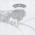 RUTHANN FRIEDMAN/Constant Companion (1969/only) (�롼�����󡦥ե꡼�ɥޥ�/USA)