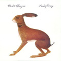 VASHTI BUNYAN/Lookaftering(LP) (2005/2nd) (��������ƥ����Х˥���/UK)