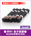 BS1����ҹ���