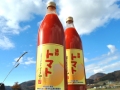 �����åɡ�900ml��3�ܥ��åȡˡ�����̵����