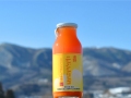 ����˥󥸥��󥴥ߥˡ�180ml��12�ܥ��åȡˡڿͻ�����̣������ڤˡۡ�����̵����