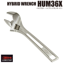 118_hum36x