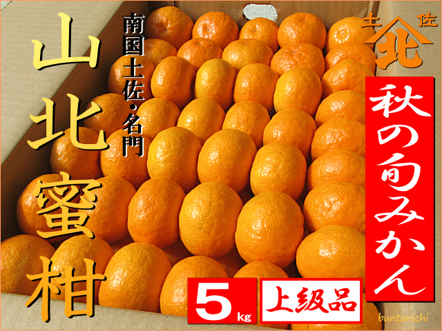 ■(AU2)文旦一厳選品・濃厚・秋の山北みかん【5キロ・2Sサイズ・上級品】※準備中の場合は、入荷連絡メールを登録できます。 秋の山北みかん2S