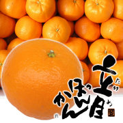 Ω�ܤݤ󤫤�
