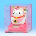 �����顼�ޤ�ޤ빬������ǭ �ʺ��� ��ʡǭ