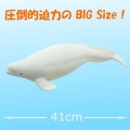 ������ʪ�ե����奢 �٥롼�� �ӥˡ����ǥ�