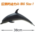 ������ʪ�ե����奢 �Х�ɥ����륫 �ӥˡ����ǥ�