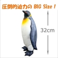 ������ʪ�ե����奢 ���󥰥ڥ󥮥� �ӥˡ����ǥ�