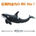 ������ʪ�ե����奢 ����� �ӥˡ����ǥ�