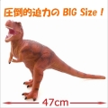 ��ε�ե����奢 �ƥ���Υ����륹 �ʥ�åɥ��顼�С������� �ӥˡ����ǥ�