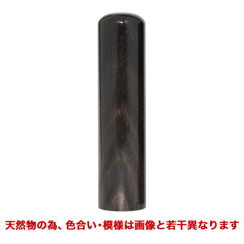 染無し芯持黒水牛(中材)