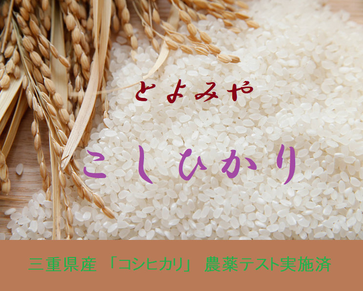 koshikarireiwa2
