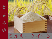 新米R7年産　ミルキークイーン　１５キロ　送料無料(北海道、沖縄などは除く)