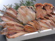 �դΥХ饨�ƥ����åȡ�����̵����