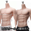 【Mojoy】MJ-DD01 / MJ-DD02 スリム 1/6スケール シームレス男性ボディ デッサン人形 ヘッドなし(スタンド付属)