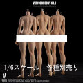 【VeryCool】BODY NO.3 VCD-03 ABC 1/6 Silicone Female Body 1/6スケール シームレス女性ボディ素体 デッサン人形(ヘッドなし)