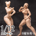 【Whale Works】WW01 WW02 A/B/C 1/12 Super Movable Female Figure ARIA/ Rin 超可動女性 フィギュアボディ デッサン人形 アリア/凛