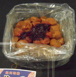����̵��(�̳�ƻ�����졦Υ��Τ���)�� �������ȼǤ���ȤΤ��ä�����Ť���Τ��������ߴ����򴳤�����ߡ�1K��