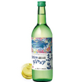 ��ȫ�磻�󿷼�2010