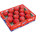 �ڤդ���������5kg����12��16�ġˡۡ�u-ap01��