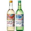 ��ȫ�磻�󿷼�2010