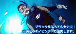 �ڥޥ�󥯥�֥٥꡼�ۥ�ե�å�������ӥ�