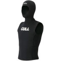 GULL��SCS�ա��ɥ٥���3�����