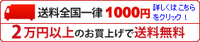 送料 全国一律800円 1万円以上で無料
