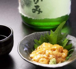 �����������˲������γ���ˡ��̳�ƻ�����ʥ�����饵�����ˡ�