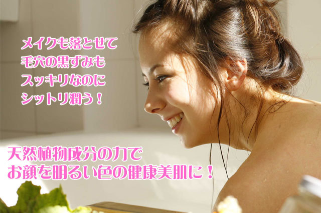 ��ȩ�������ʽᤤ��Ϳ������������и��������󥷥꡼��