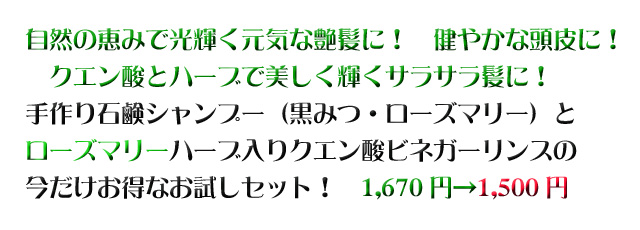 ��������ӥͥ�����󥹥������ޥ꡼������å�top