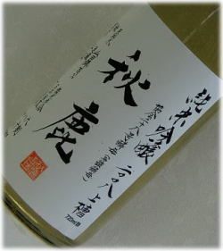 ������¿���ż�2008
