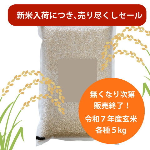 2026年玄米5kgセール