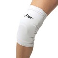 �����å����ˡ����ݡ������ʤҤ��ˡڥ��󥰥����ס�XWP047-0190/�ۥ磻�ȡߥ֥�å���1�Ĥ����