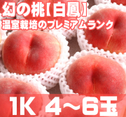 ����£���ѥ������˱01
