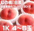 ����£���ѥ������˱01