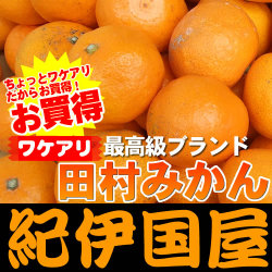�辰������¼�ߤ���