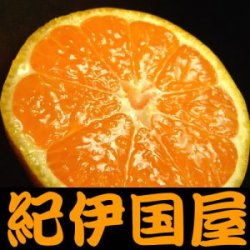 ������̵�������եȡ� ��¼�������ͭ�Ĥߤ��� ��S�������� ��5kg �ڻ���ľ����/2��5�Ķ����ǽ缡�в��桪