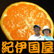 ˭����̣���ͭ�Ĥߤ����²λ���