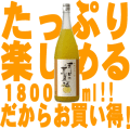 �²ΤΤᤰ��ͭ�ĤδŲƼ򣷣������������������²λ�������