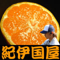 ��ͧ���� ���������Τߤ��� ���ʲ���