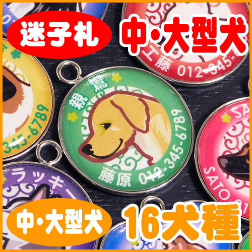 迷子札 大型犬