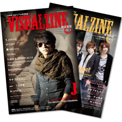 ������̵���� VISUALZINE ����۷� Vol.4 (ɽ��:J/DaizyStripper) ��BOOK��