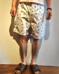 ��30%OFF!!�� ����������ɥ���ե���˥���VANS��SD LOGO SHORTS