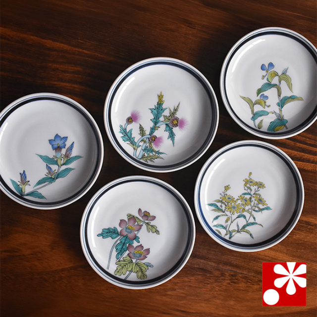 中皿 セット( 径約 14cm ) 草花絵変り【アウトレット】