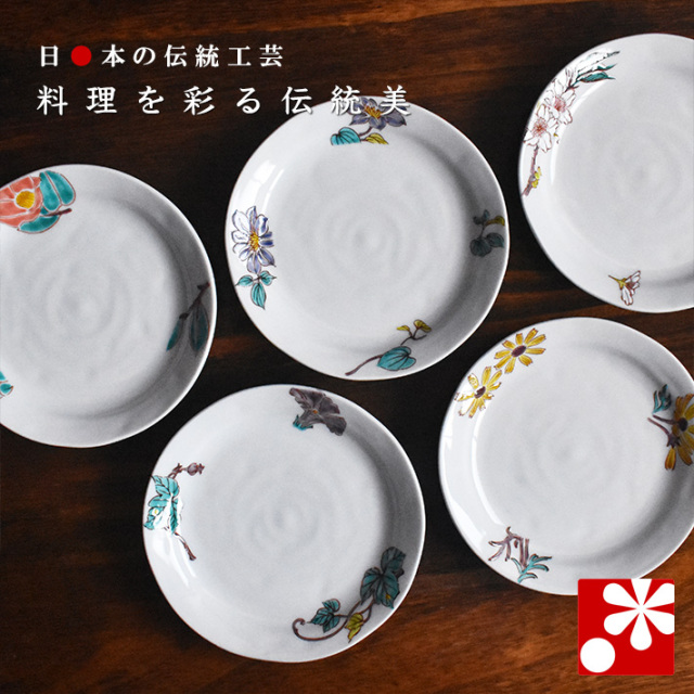 中皿 セット( 径約 16.5cm ) 花ごよみ【アウトレット】