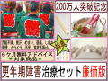 ��­ˡ����ǯ���㳲���ť��å�������